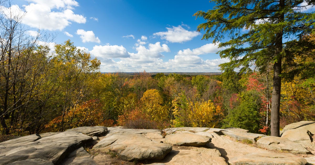 Fall Fun Near Me | Cleveland, OH