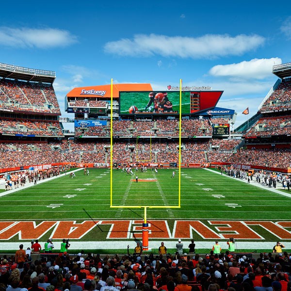 Skunk Runs Amok at Bucs-Browns Game in Cleveland's FirstEnergy